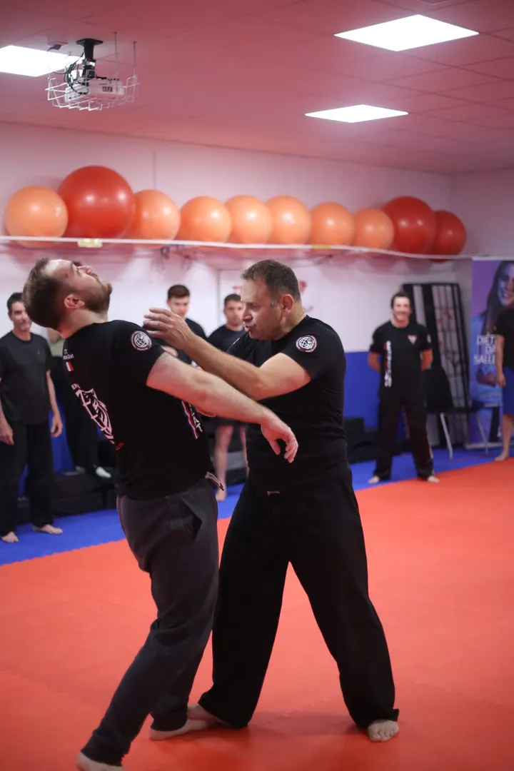 Self Defense Center (Penchak Silat) — arts martiaux-studio à Balma, Toulouse — 2