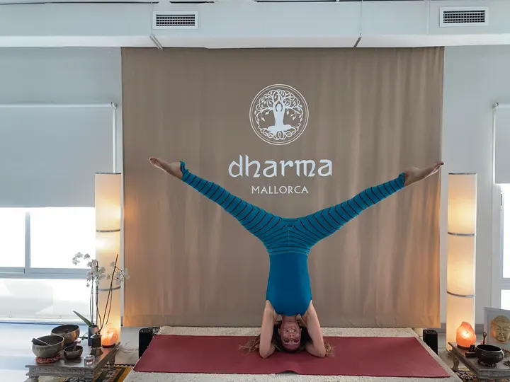 Dharma Yoga Studio Mallorca — yoga-studio en S'Arenal, Palma — 3
