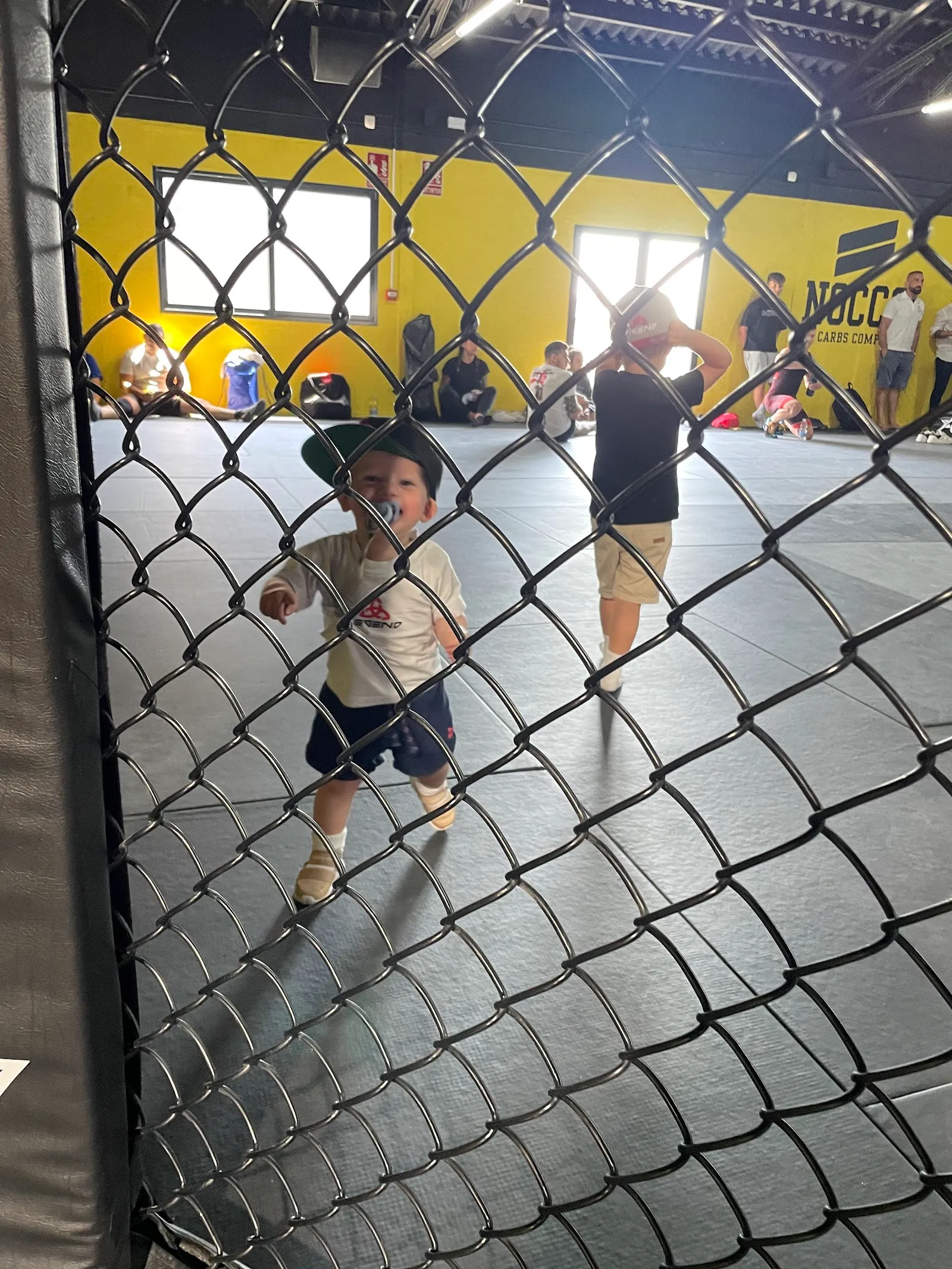 Allstarsspain — mma-studio en Torrevieja — 4