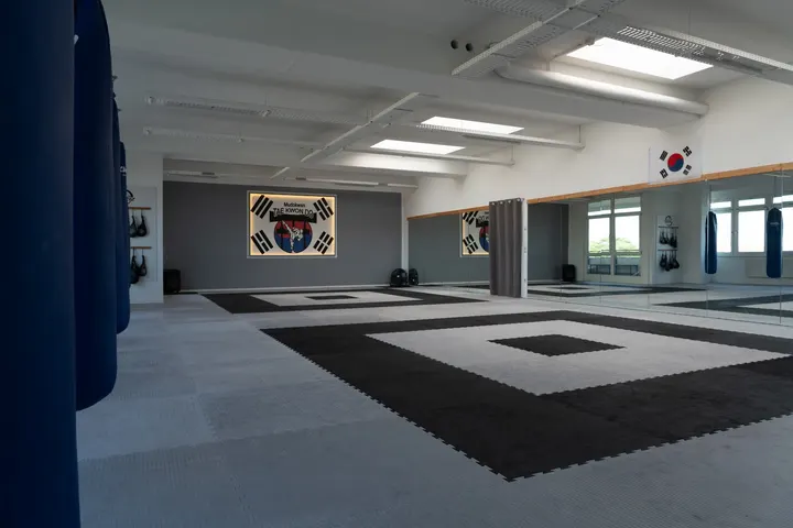 Kampfkunstschule Mertz — kampfsport-studio in Frankenthal Kernstadt, Frankenthal — 2