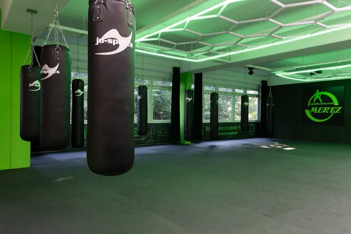 Kampfkunstschule Mertz — kampfsport-studio in Frankenthal Kernstadt, Frankenthal — 3