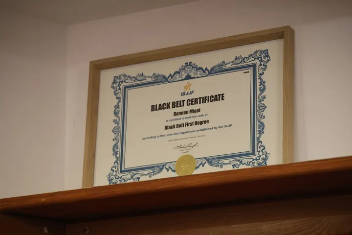 Limitless BJJ — jjb-studio à Secteur 4, Grenoble — 2