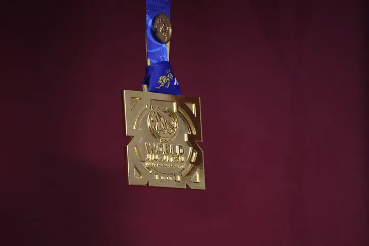 Limitless BJJ — JJB à Secteur 4, Grenoble