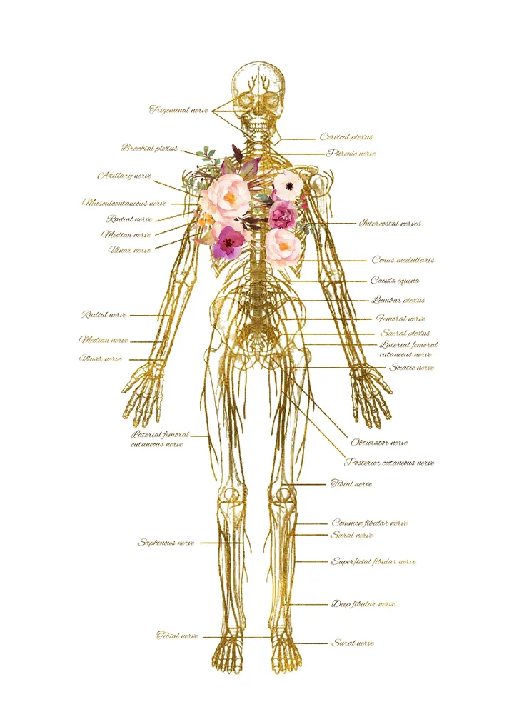 Laure TOCHON INFINITY — Pilates à Cran-Gevrier, Annecy