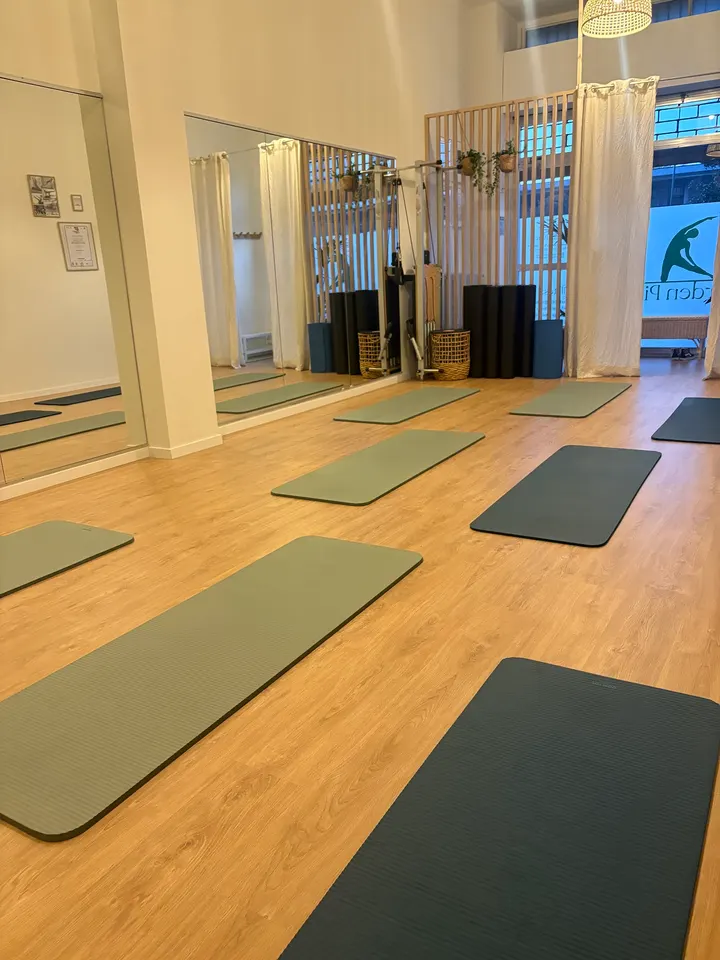 Garden Pilates Navigli — reformer pilates-studio a Ronchetto Sul Naviglio, Milano — 2