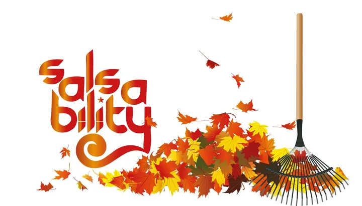 Salsability — dans-studio in Centrum, Rotterdam — 2