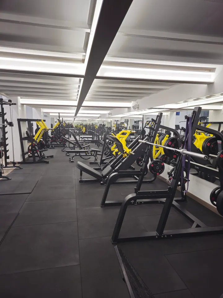 Level Up Fitness Center — Estudio de fitness en Urbanización El Vedat, Torrent
