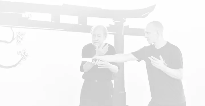 Sifu AZet — kampfsport-studio in Kiel — 3