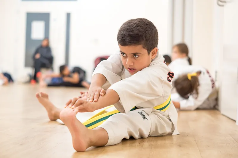 Peak Performance Taekwondo Academy - Olympic Martial arts centre — martial arts-studio in London — 3