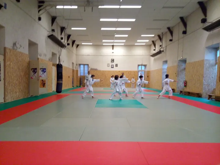 Centre Angevin de Karate Do — Arts martiaux à Hauts de Saint-Aubin, Angers