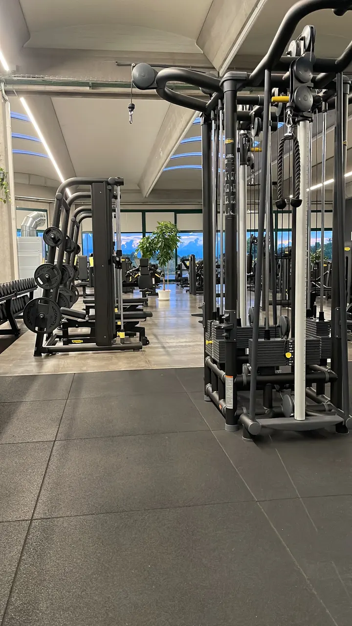 King Fit Leno — functional training-studio a Leno — 4