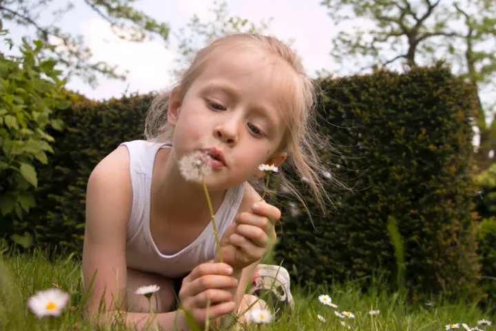 Yogi de zon — Yoga in Uden