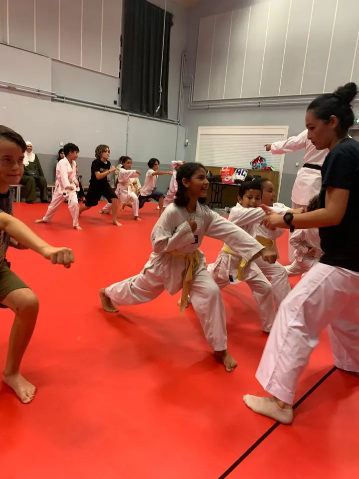 Jeunesse Sportive Montpellier — arts martiaux-studio à Prés d'Arènes, Montpellier — 3