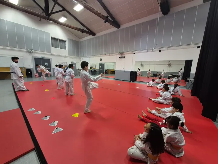 Jeunesse Sportive Montpellier — Arts martiaux à Prés d'Arènes, Montpellier