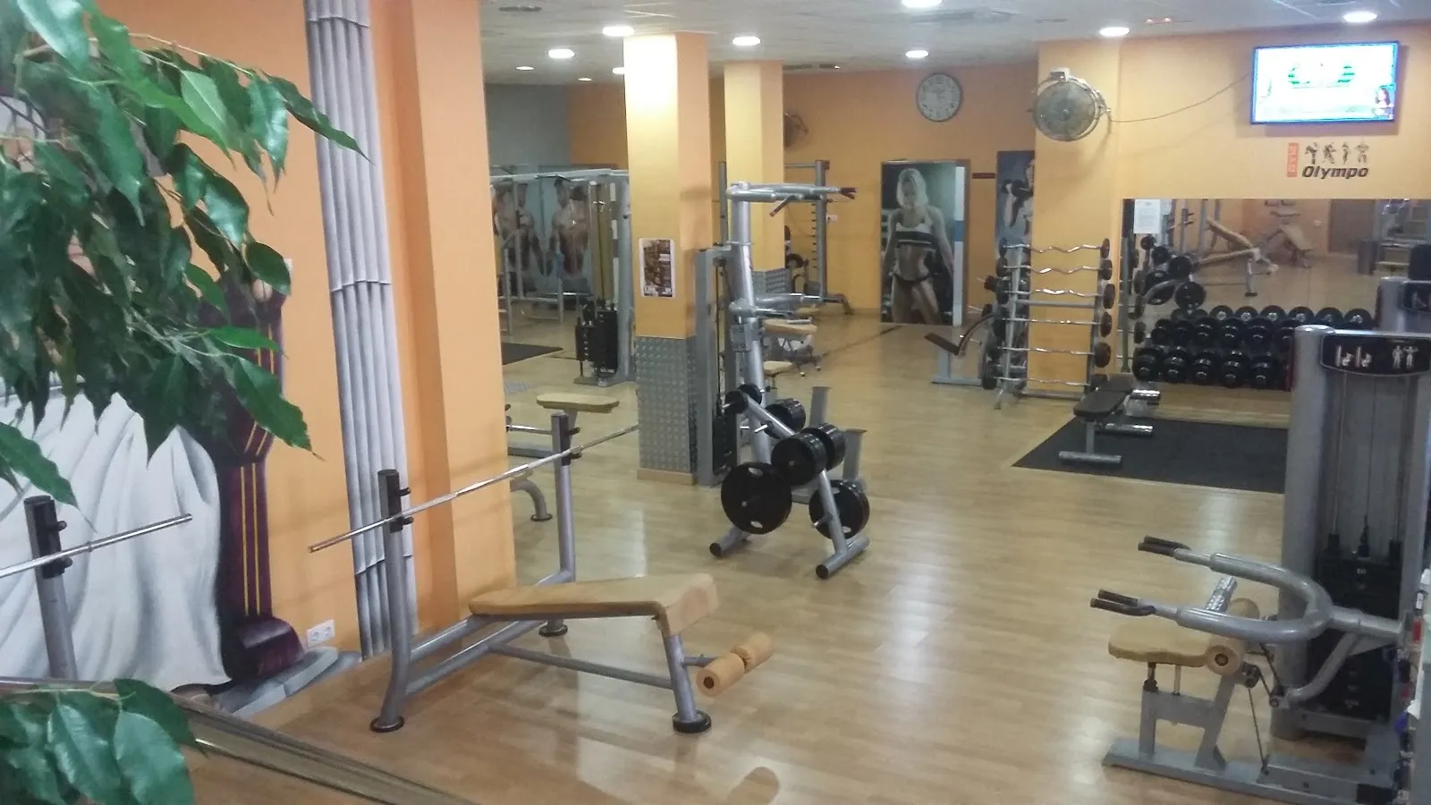 Olympo — boxeo-studio en Mazarrón — 2