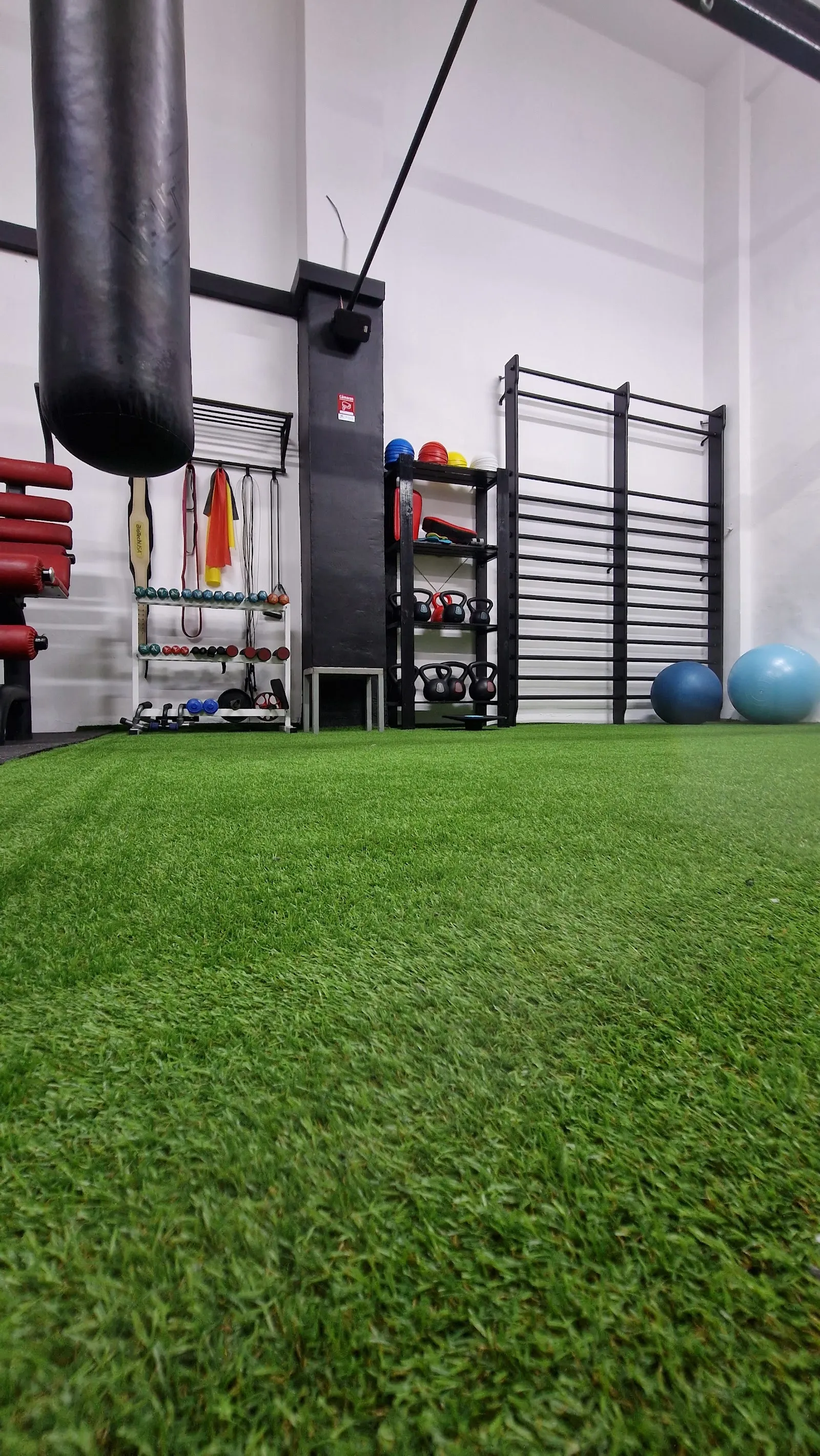 Dinámica Gym — estudio de fitness-studio en Santa Cruz de la Palma — 3