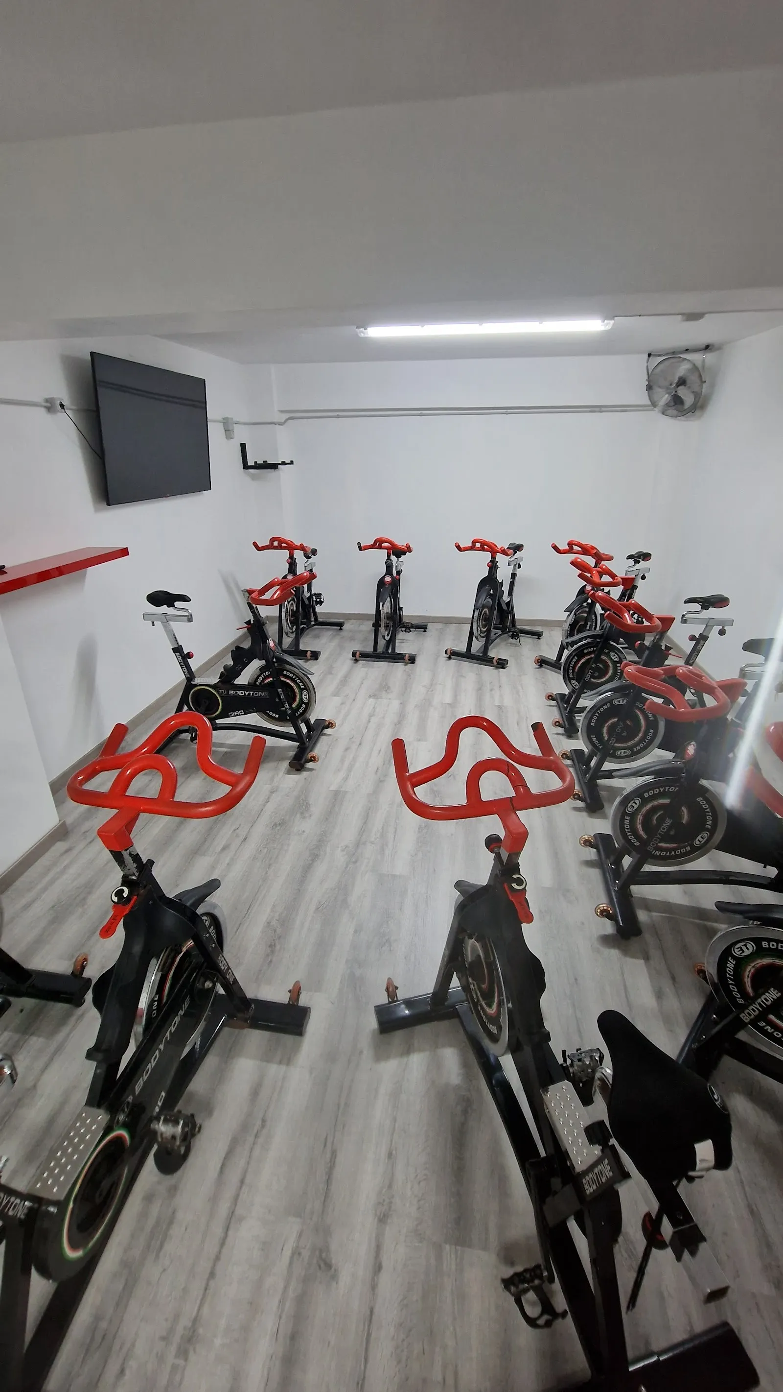 Dinámica Gym — estudio de fitness-studio en Santa Cruz de la Palma — 4