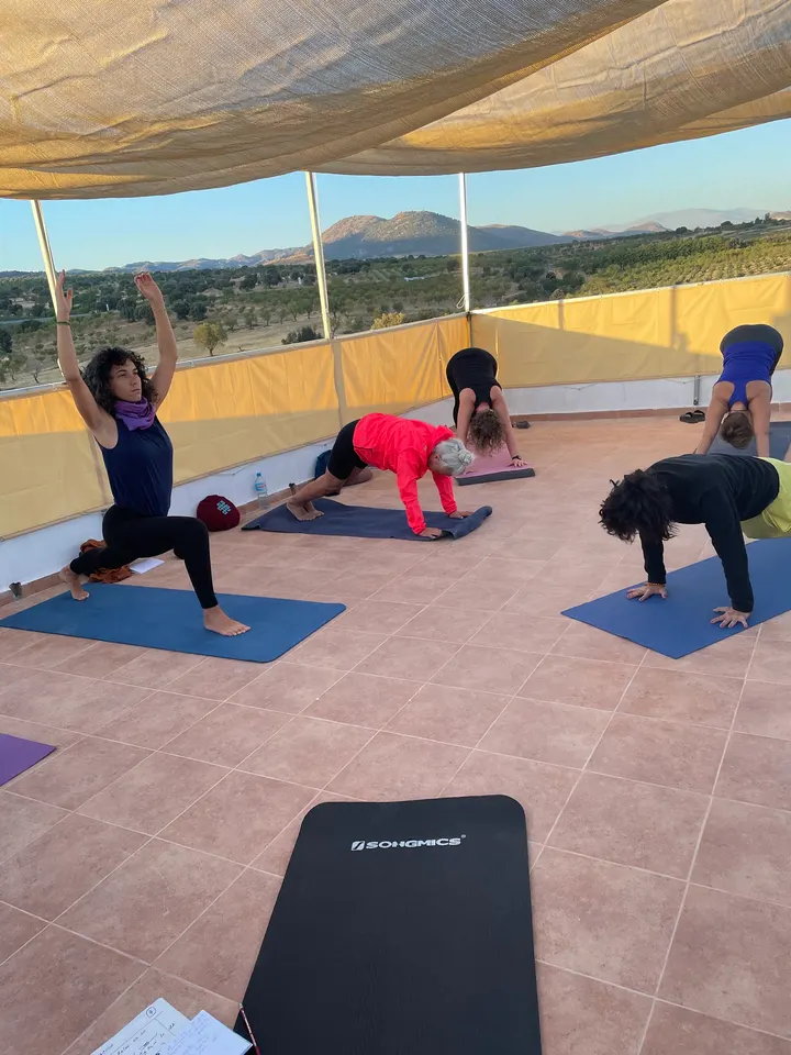 Escueladeyoga,embarazoycrianza-Carmensánchezsegura-Viniyogaaltea — yoga-studio en Altea — 3
