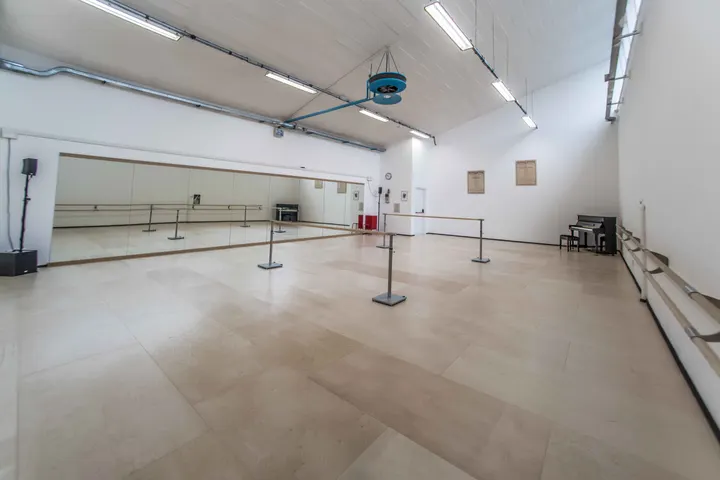 Almadanza — Danza a Róveri, Bologna