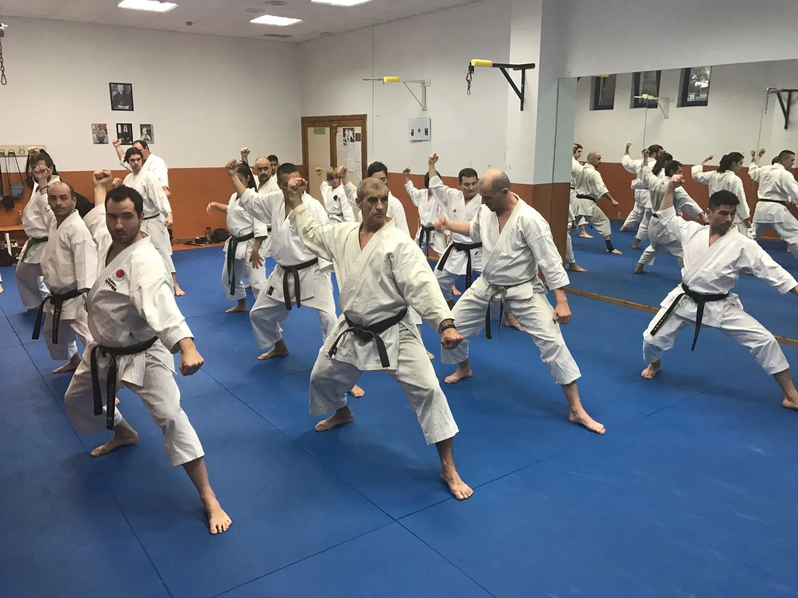 Karate San Pedro Jka — artes marciales-studio en Marbella — 3