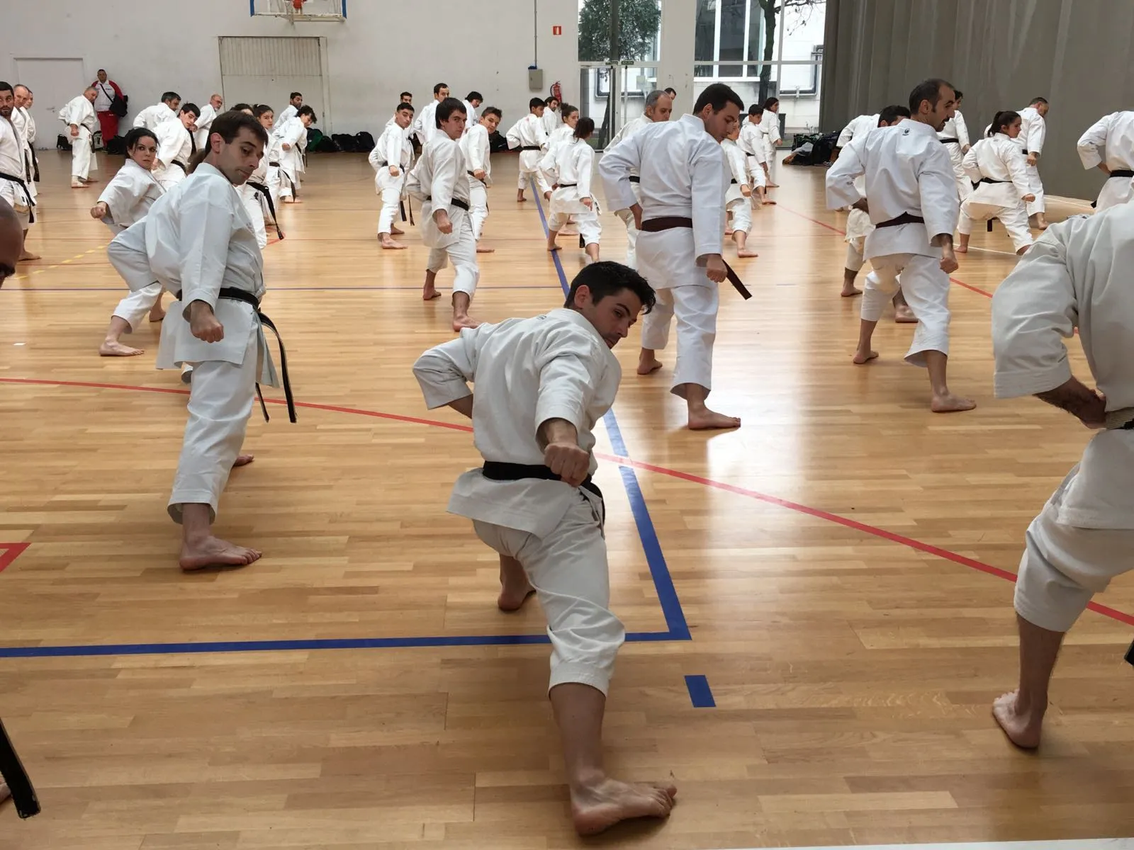 Karate San Pedro Jka — artes marciales-studio en Marbella — 5