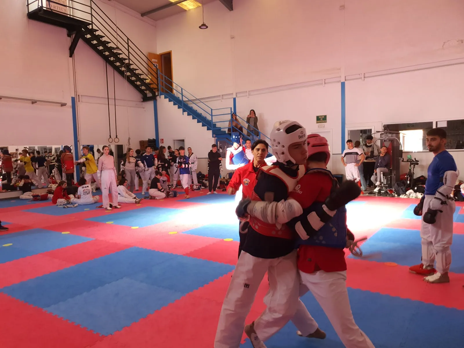 Centro deportivo Sánchez Élez - Sanabria — artes marciales-studio en Arroyo Culebro, Leganés — 3