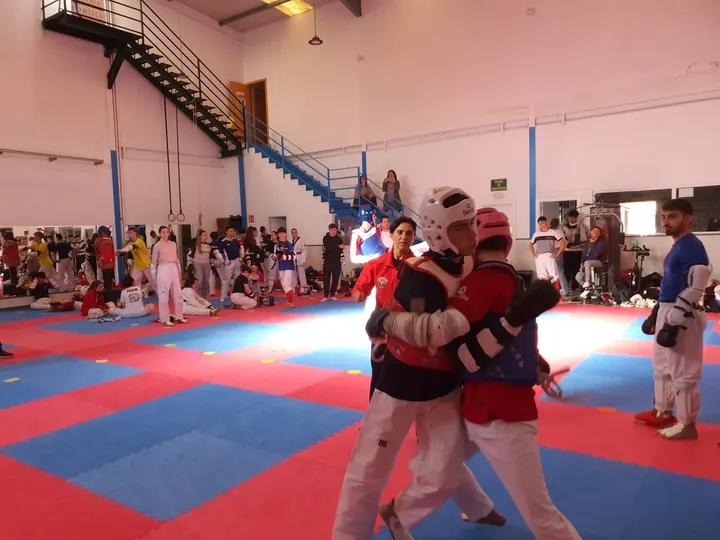 TAEKWONDO LEGANÉS — artes marciales-studio en Arroyo Culebro, Leganés — 3