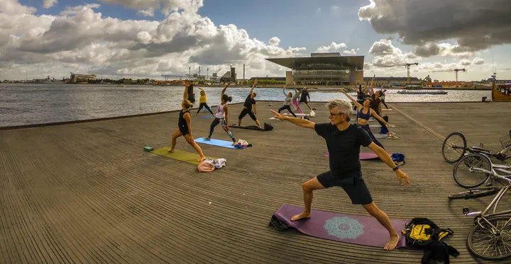 Moseholm Yoga — yoga-studio i København — 3