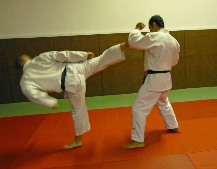 Judo Club du Gard — arts martiaux-studio à Richelieu, Nîmes — 2