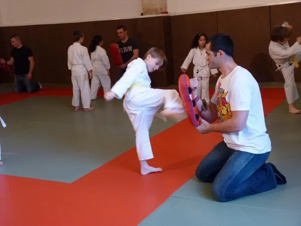 Judo Club du Gard — arts martiaux-studio à Richelieu, Nîmes — 3