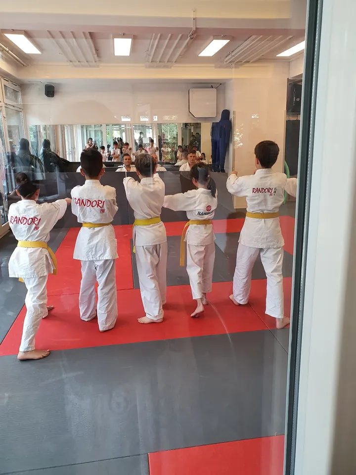 Randori-Pro Wilmersdorf — kampfsport-studio in Wilmersdorf, Berlin — 3