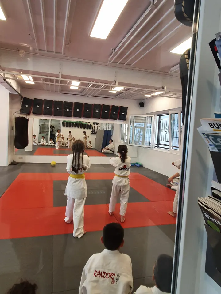 Randori-Pro Wilmersdorf — Kampfsport in Wilmersdorf, Berlin