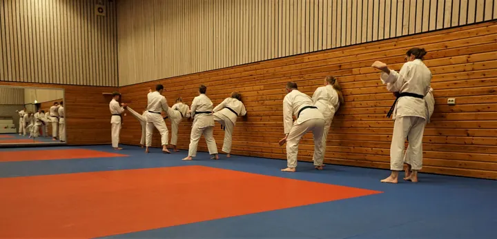 Karate-Do Shotokan Sportvereniging Ter Apel — Vechtsport in Maarsveld, Stadskanaal