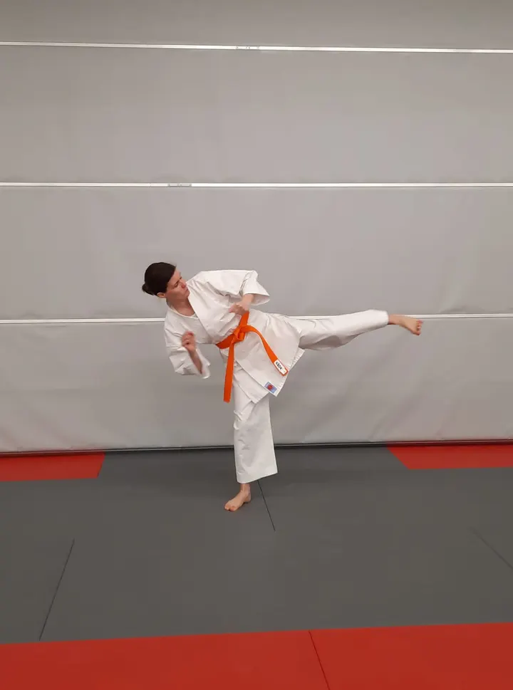 Karate-Do Lohja ry — kamppailulajit-studio – Lohja — 3