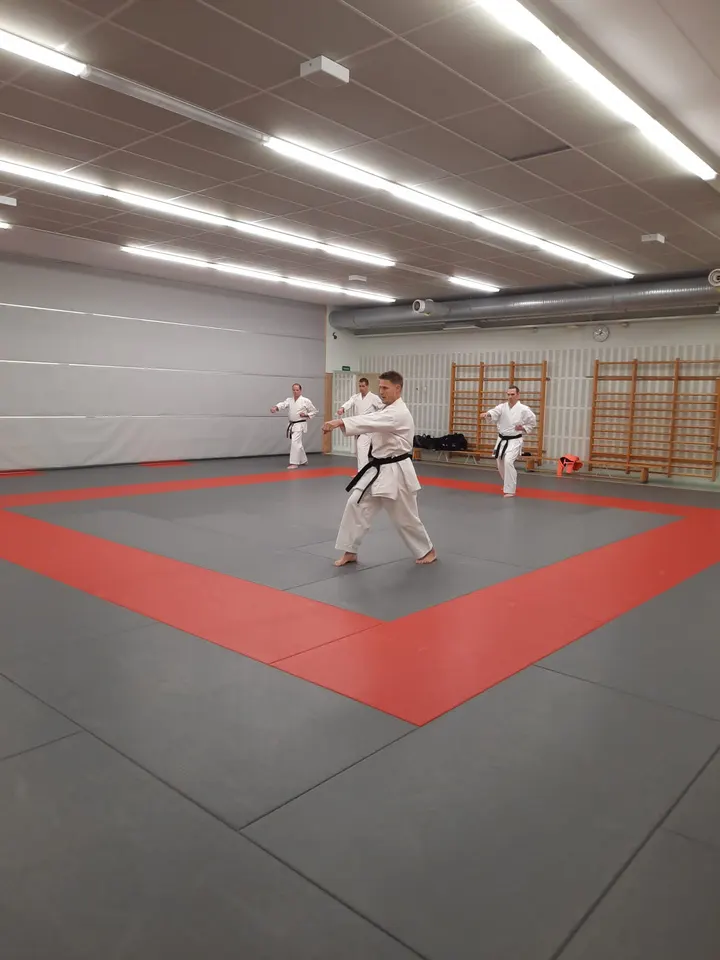 Karate-Do Lohja ry — kamppailulajit-studio – Lohja — 4