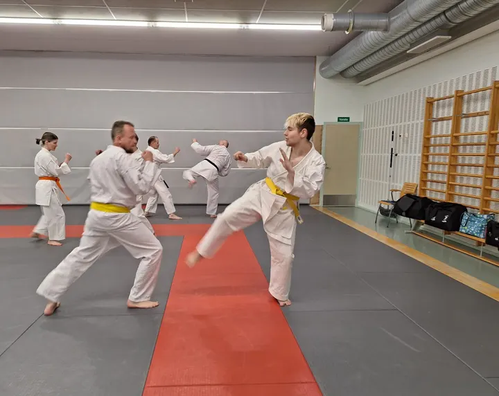 Karate-Do Lohja ry — kamppailulajit-studio – Lohja — 5