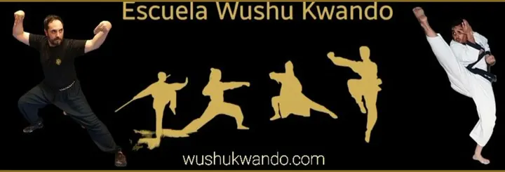 Escuela Wushu Kwando — Strength en La Soledat Nord, Palma