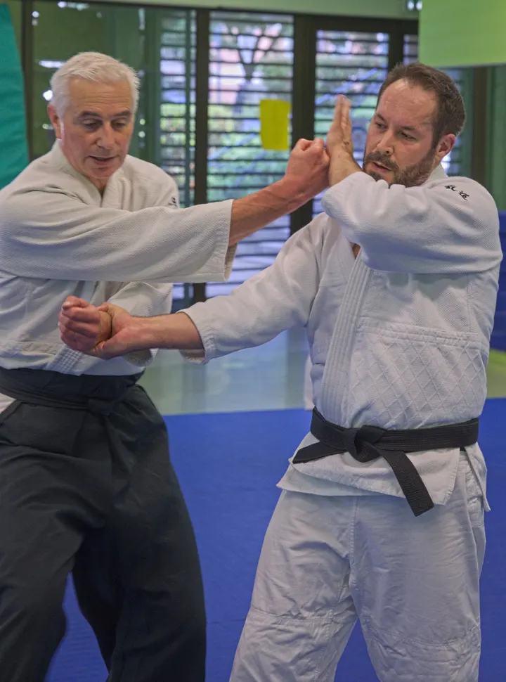 Dento Iwama Ryu Aïkido Cesson — arts martiaux-studio à Rennes — 4