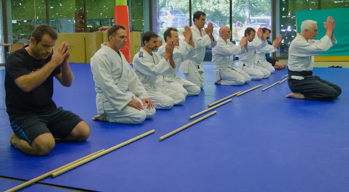 Dento Iwama Ryu Aïkido Cesson — arts martiaux-studio à Rennes — 5