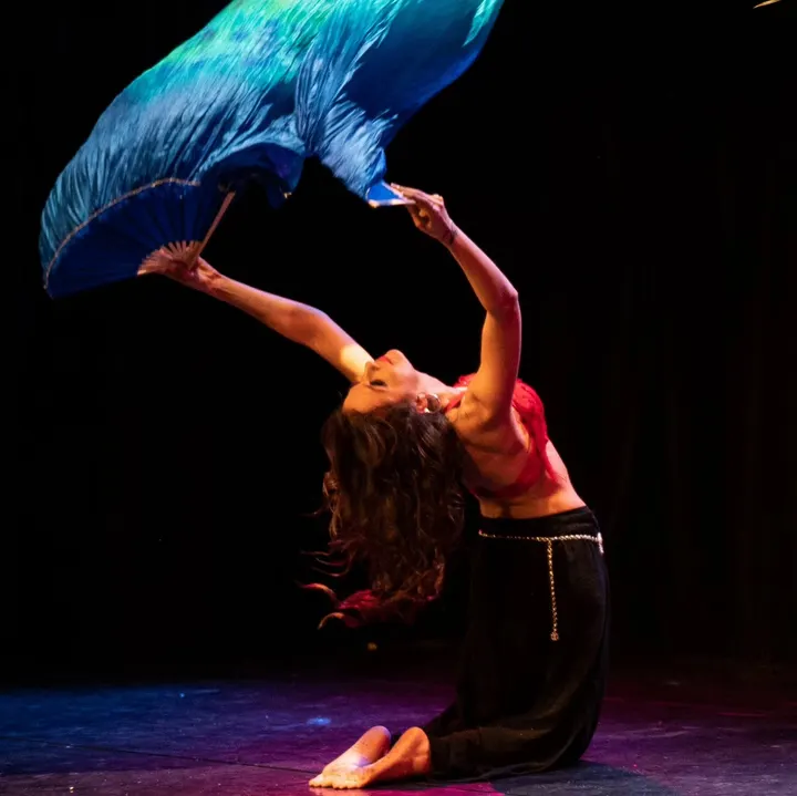 Studio Naira Orientale — danse-studio à Issy-les-Moulineaux — 3