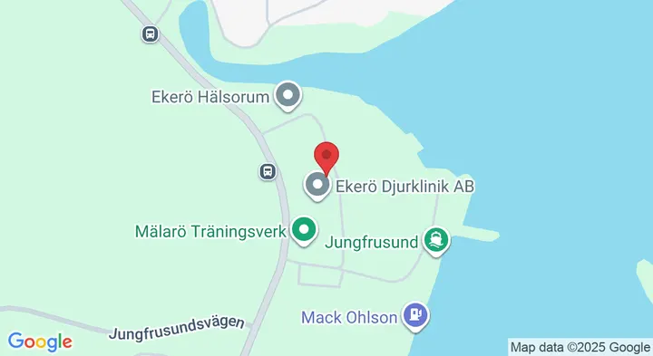 Baders Academy of Dance — dance-studio in Bromma, Stockholm — 2