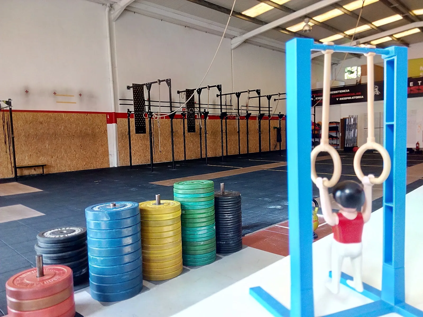 Ovetus Box — crossfit-studio en Granda — 5