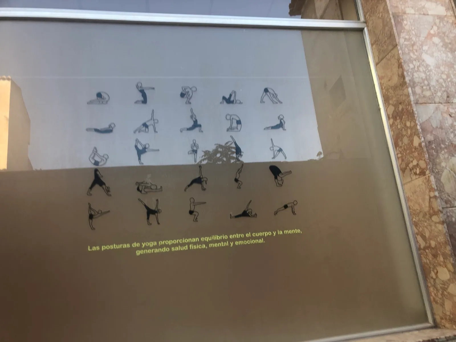 Escuela De Yoga Om — yoga-studio en Baza — 4