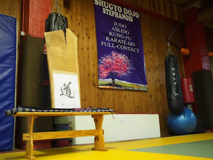 SHUGYO DOJO STEPHANOIS — arts martiaux-studio à Saint-Étienne — 2