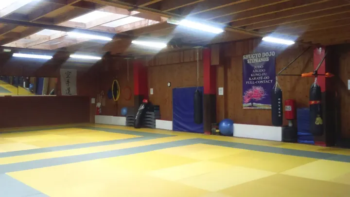 SHUGYO DOJO STEPHANOIS — arts martiaux-studio à Saint-Étienne — 3