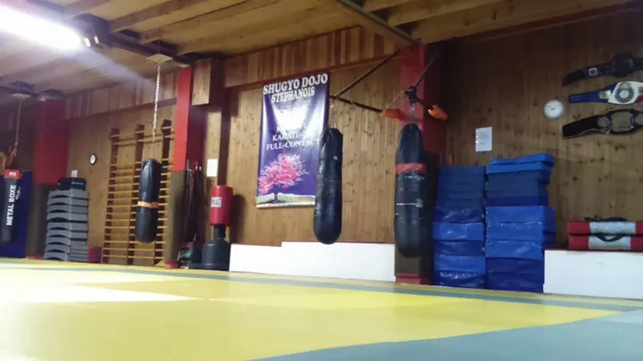 SHUGYO DOJO STEPHANOIS — arts martiaux-studio à Saint-Étienne — 4