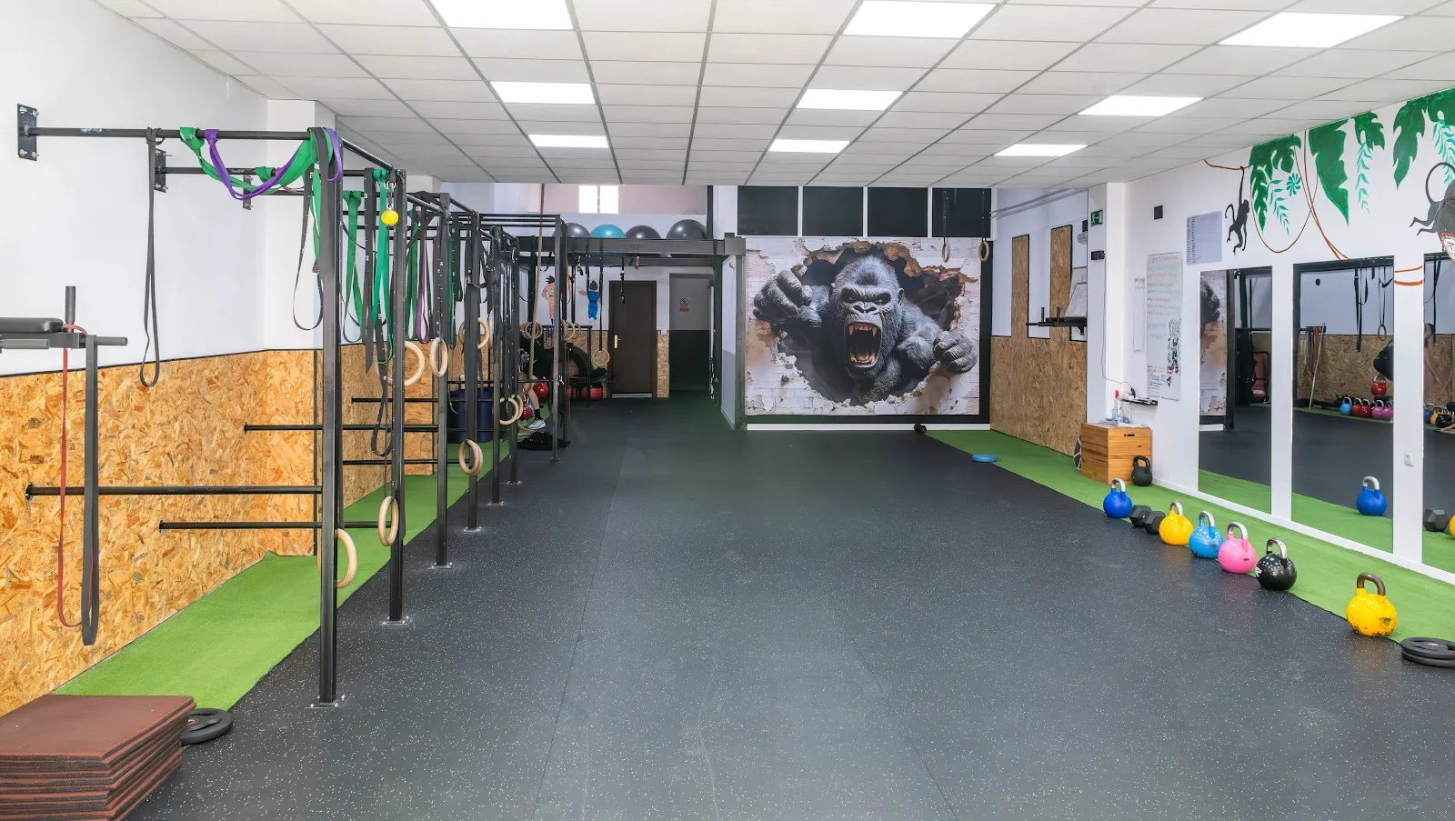Centro Deportivo Monkey Madness — entrenamiento funcional-studio en Ourense — 5