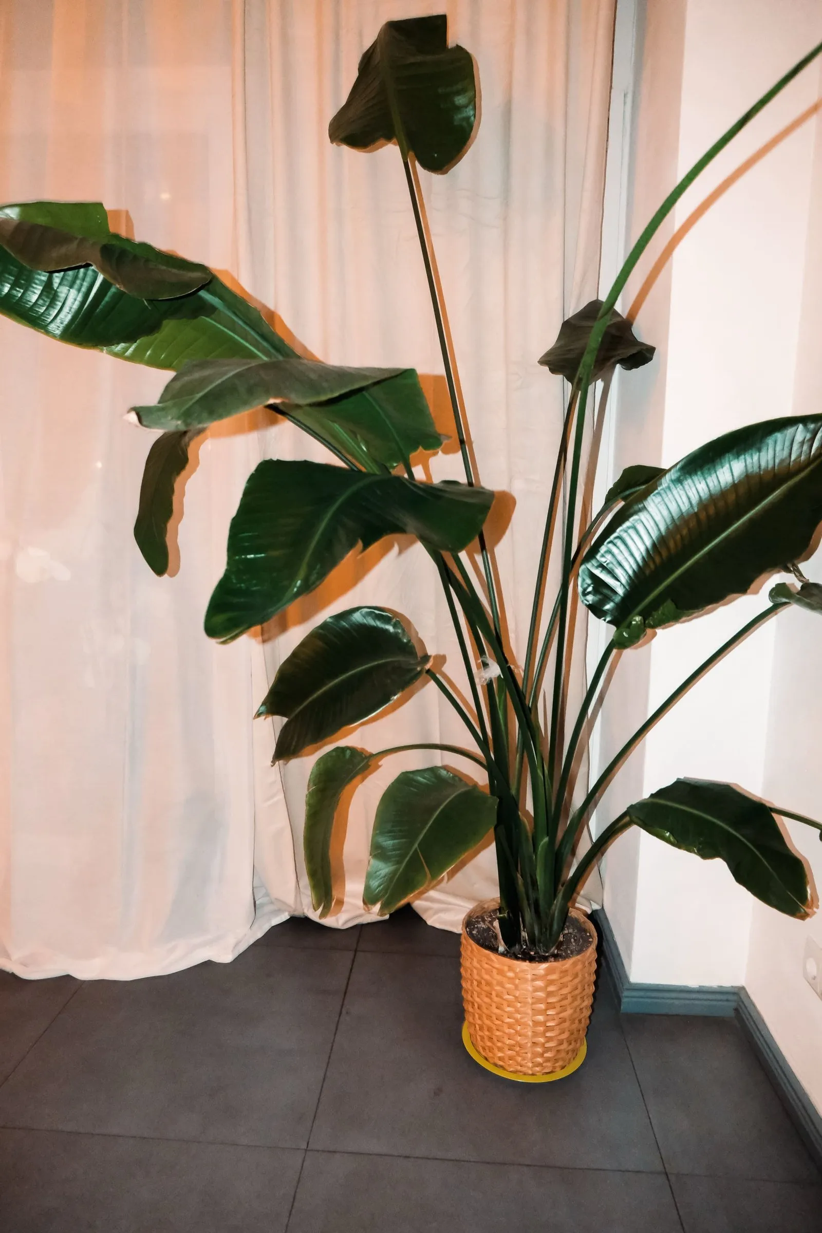 ZEN Tantra Yoga Berlin — yoga-studio i Berlin — 3