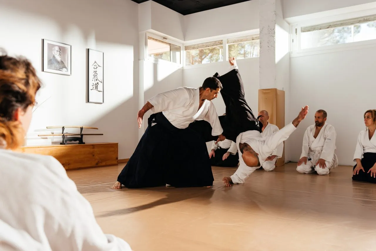 AIKIDOJO TARRASA CENTRO PARA EL DESARROLLO PERSONAL — artes marciales-studio en Terrassa — 2