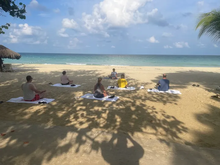 Elaine's Yoga — Yoga in Friern Barnet, London